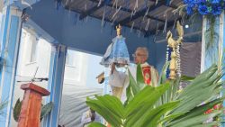 செம்பியன்பற்று தனிப்பனை மடுமாதா யாத்திரை திருத்தல திருவிழா
