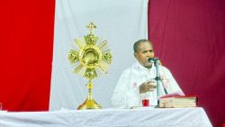 பல்லவராயன்கட்டு வேளாங்கன்னி அன்னை ஆலய திருவிழா