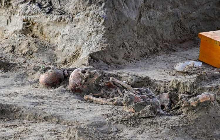 412 Human Skeletal Remains Recovered from the Chemmani Mass Grave