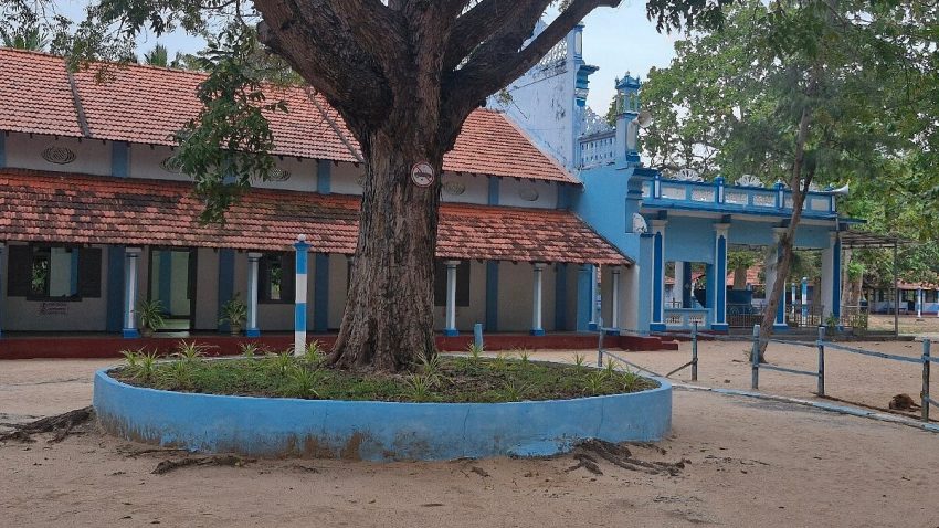 சாட்டி புனித சிந்தாத்திரை அன்னை திருத்தல திருவிழா இம்மாதம் 26ஆம் திகதி